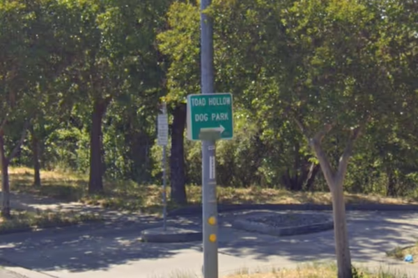 Toad Hollow Dog Park